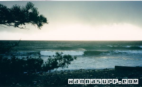 surf photo