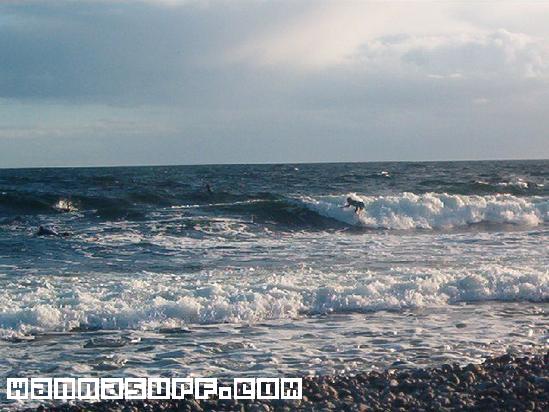 surf photo