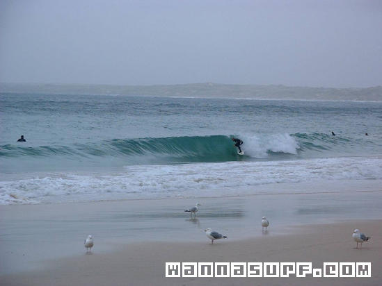 surf photo