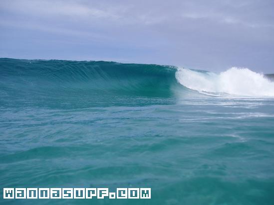 surf photo