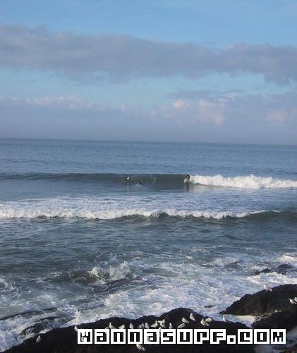 surf photo
