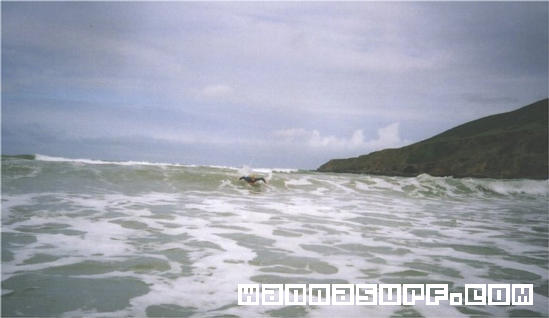 surf photo