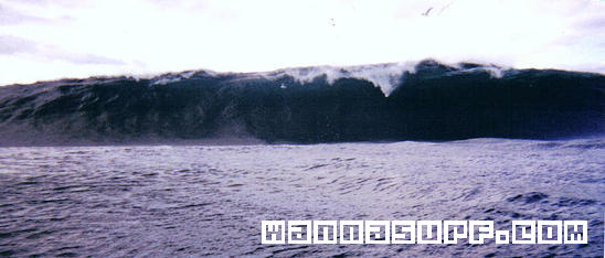 surf photo