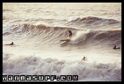 brighton surfing