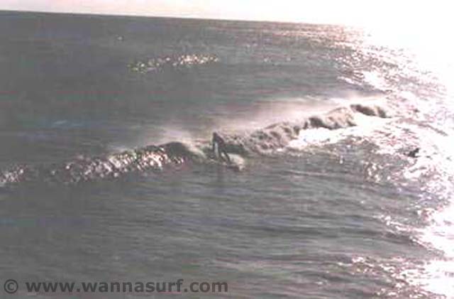surf photo
