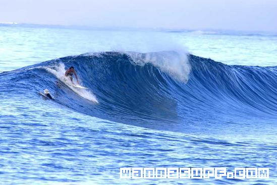 surf photo