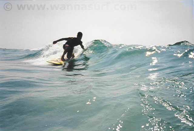 surf photo