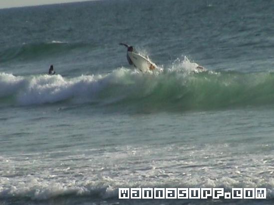 surf photo