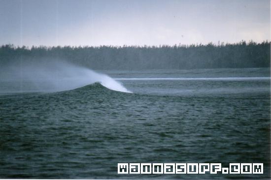 surf photo