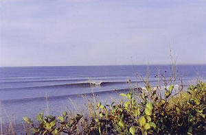 surf photo