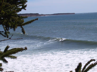 surf photo