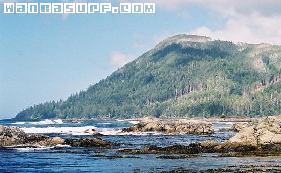 surf photo