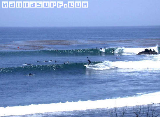 surf photo