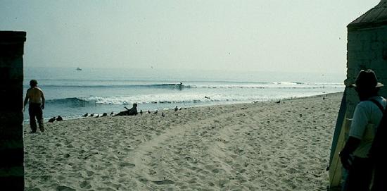 surf photo