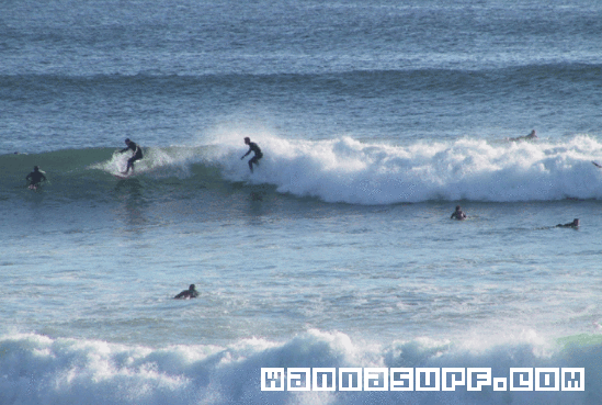 surf photo