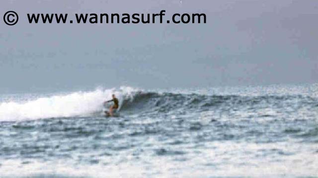 surf photo