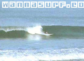 surf photo