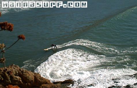 surf photo
