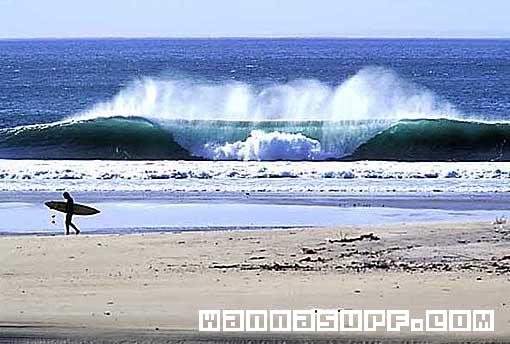 surf photo