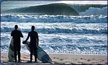 surf photo