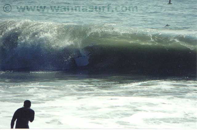 surf photo