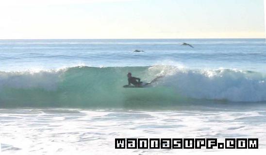 surf photo