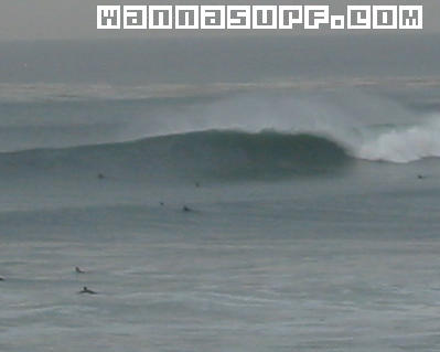 surf photo