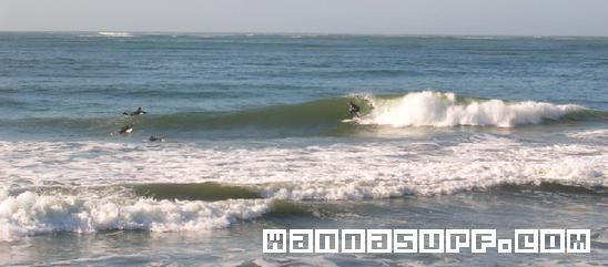 surf photo