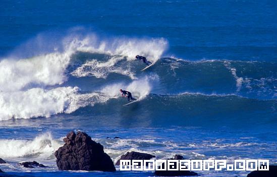 surf photo