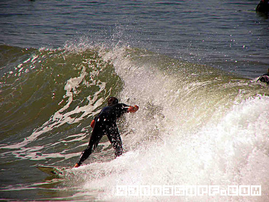 surf photo