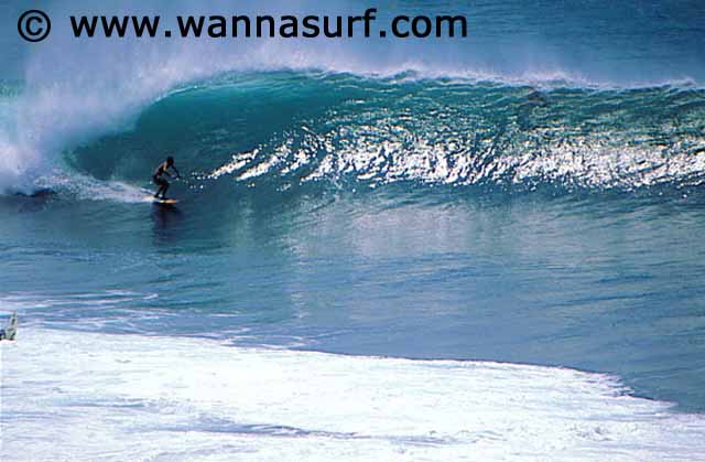 surf photo