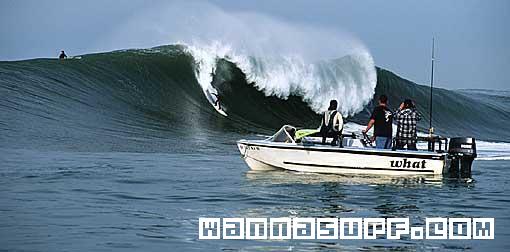 surf photo
