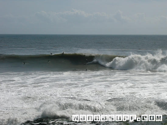 surf photo