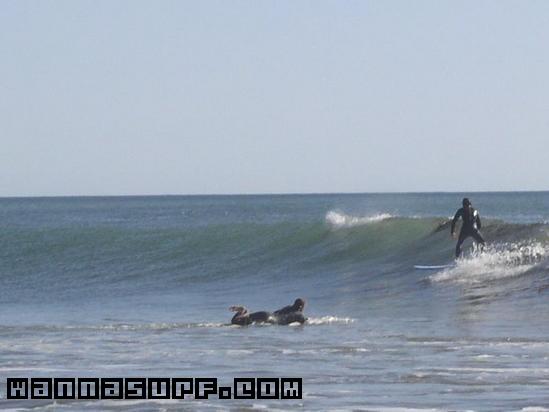 surf photo
