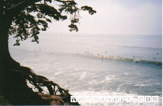 surf photo