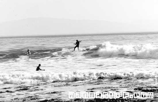 surf photo