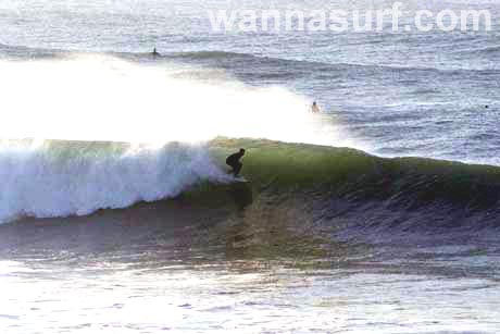 surf photo