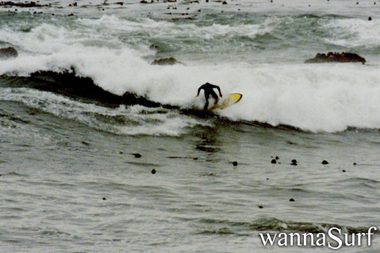 surf photo