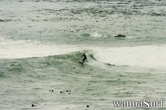 surf photo
