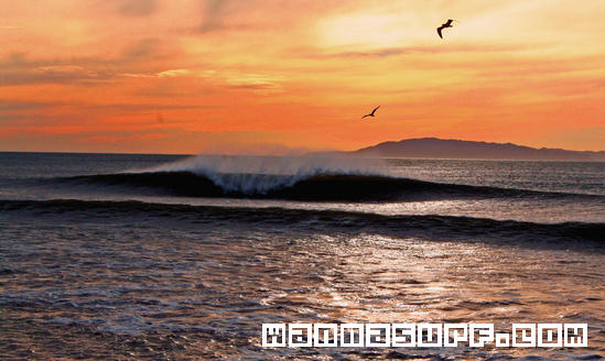 surf photo