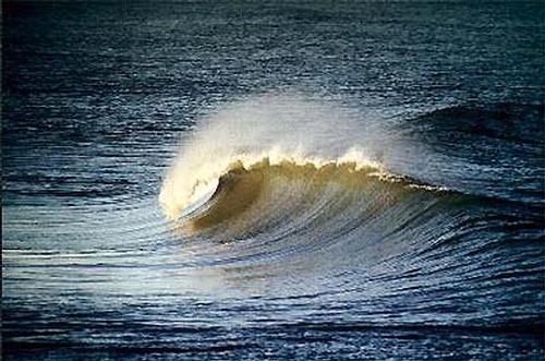 surf photo