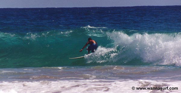 surf photo