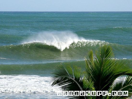 surf photo