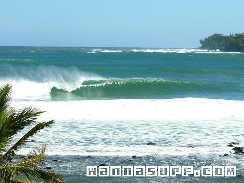 surf photo
