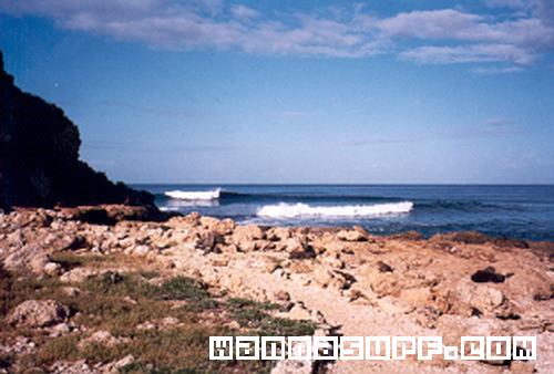 surf photo