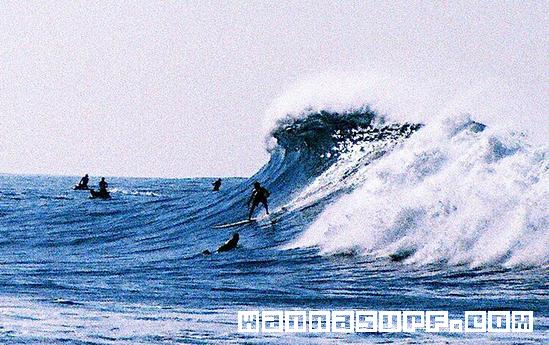 surf photo