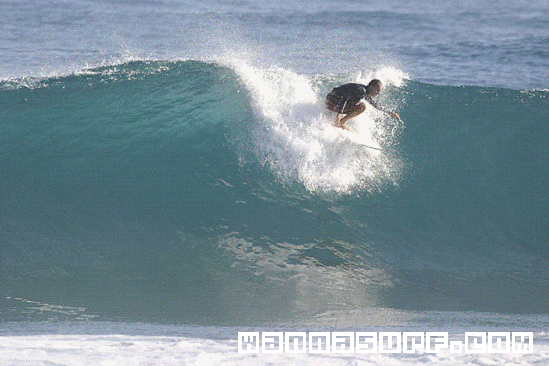 surf photo