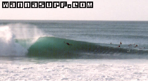 surf photo