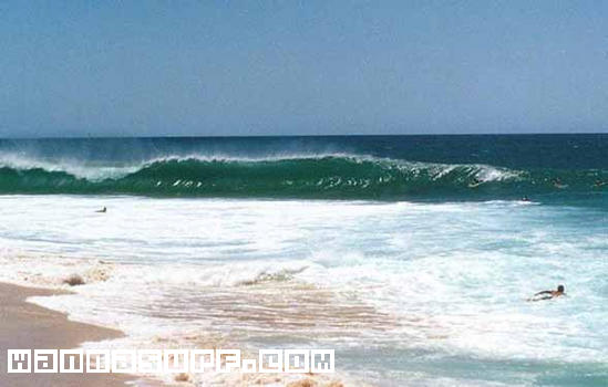surf photo