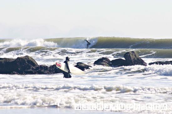 surf photo